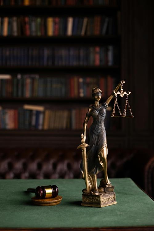 Accounting for Lost Future Earnings in Severe Injury Claims
